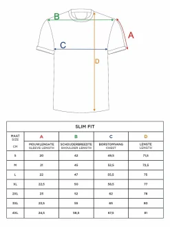 Wam Denim T-Shirts|T-Shirt 79593 Kyoto Menthol